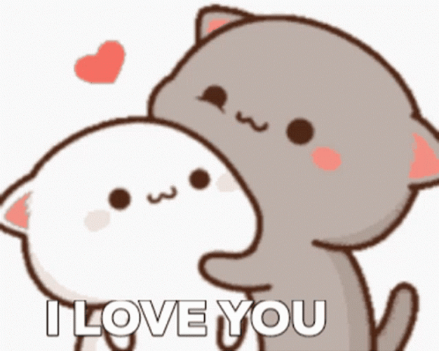 Cute Mocha And Milk Cuddle I Love You GIF