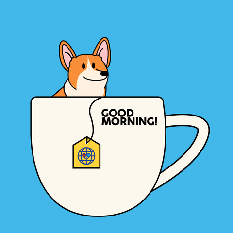 Cute Monday Corgi Cup GIF