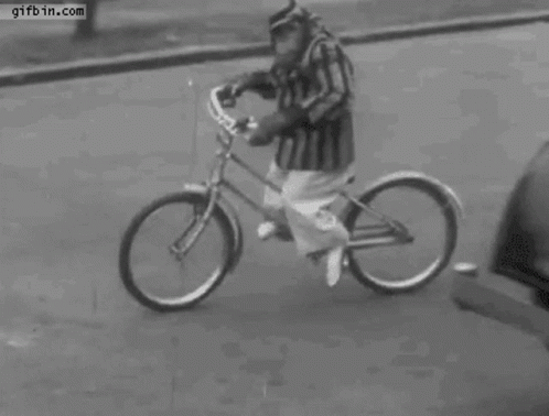Cute Monkey Wearing Clothes Ride Bicycle GIF