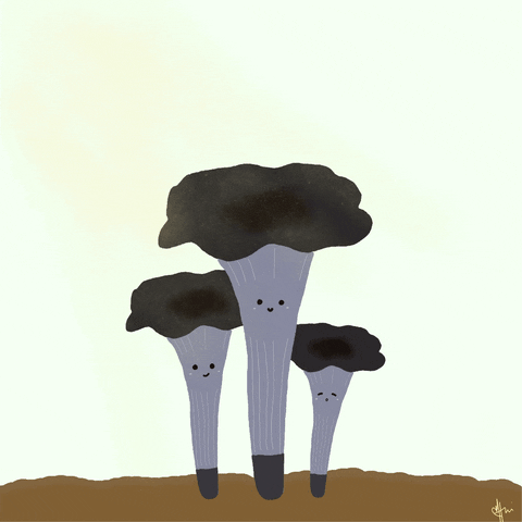 Cute Mushroom Family GIF