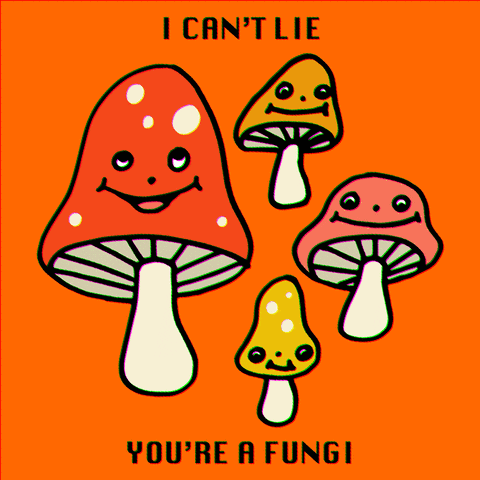 Cute Mushroom Fungi I Can't Lie GIF