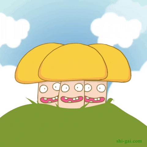 Cute Mushroom In Wind GIF