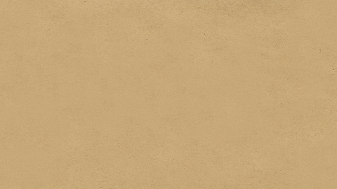 Cute Orca Drawing GIF