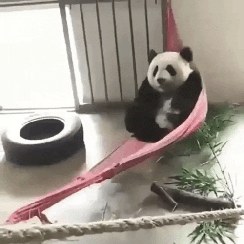 Cute Panda Swinging GIF