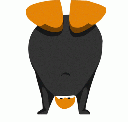 Cute Penguin Got Moves Break Dance GIF