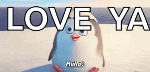 Cute Penguin Hello Love Ya GIF
