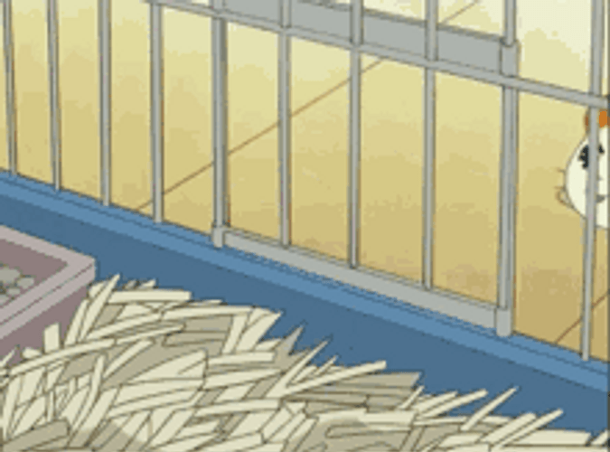 Cute Pet Anime Hamster Cage Hamtaro GIF