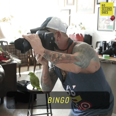 Cute Photographer Taking Bingo Shot GIF
