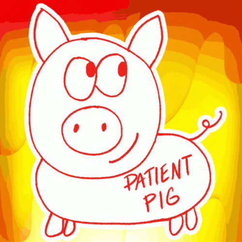 Cute Pig Patience GIF