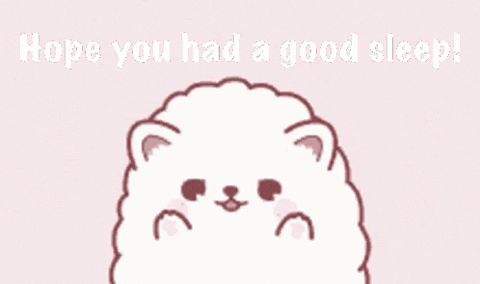 Cute Pomeranian Hope You Sleep Well GIF