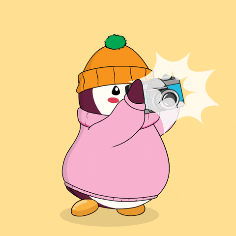 Cute Pudgy Penguin Taking Pictures GIF