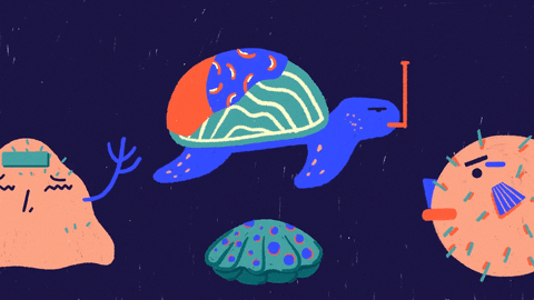 Cute Pufferfish Turtle GIF