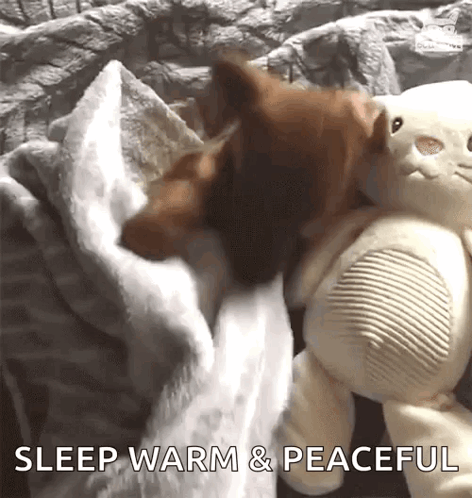 Cute Pup Good Night Sleep Warn GIF