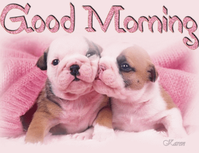 Cute Puppies Good Morning Message GIF