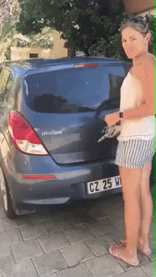 Cute Puppies Surprise Car GIF