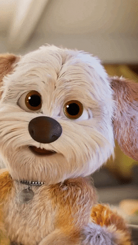 Cute Puppy Dog Batting Eyes GIF