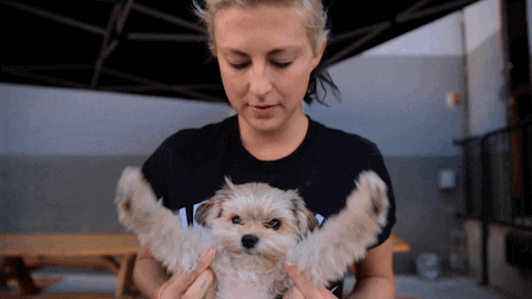 Cute Puppy Wide Arms Raise GIF
