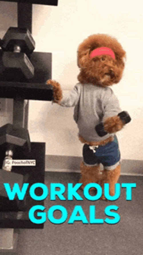 Cute Puppy Workout Goals GIF