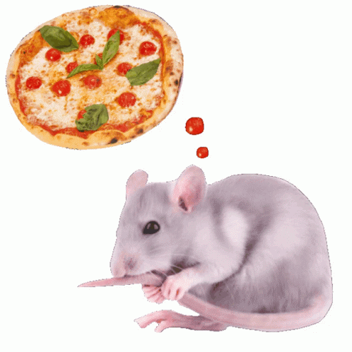 Cute Rat Imagining Yummy Pizza GIF