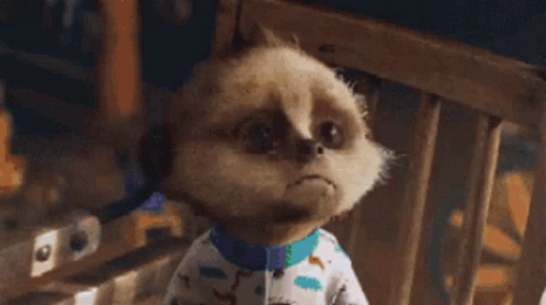 Cute Sad Pouting Baby Oleg Meerkat GIF