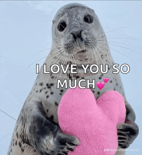 Cute Seal Meme GIF