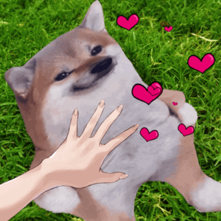 Cute Shiba Inu Tummy GIF