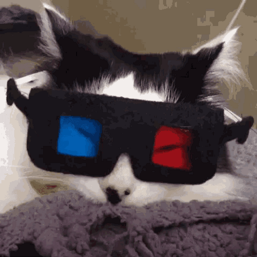 Cute Sleepy Cat Movie 3d Glasses GIF