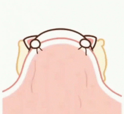 Cute Sleepy Kitten Playing Peekaboo GIF