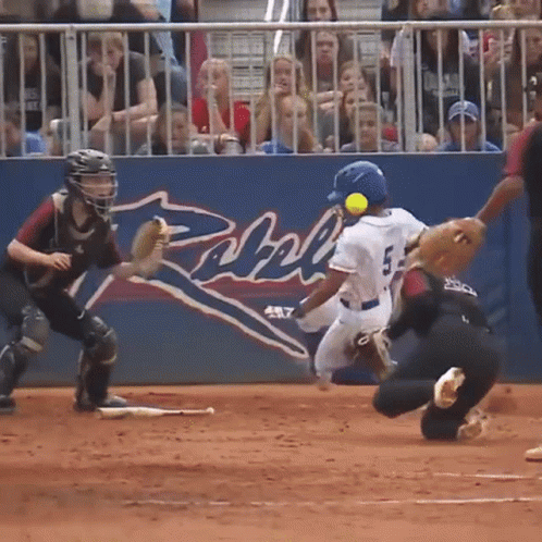 Cute Softball Byrnes Rebels Players GIF