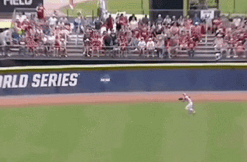 Cute Softball Outfield Catching Ball GIF