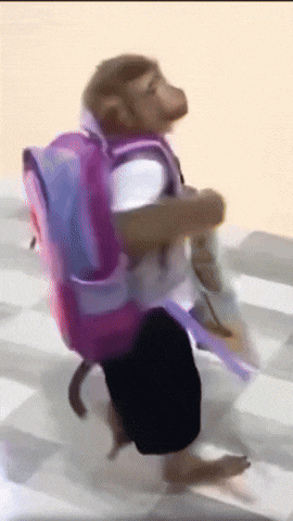 Cute Spinning Monkey Going To School GIF