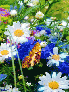 Cute Spring Flowers Butterfly Glitter GIF