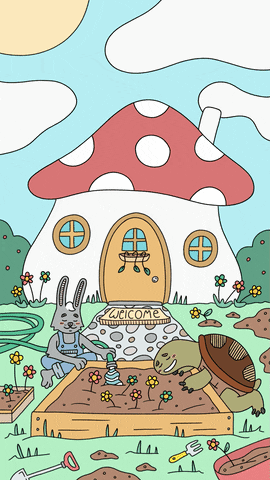 Cute Spring Home Hare Tortoise GIF