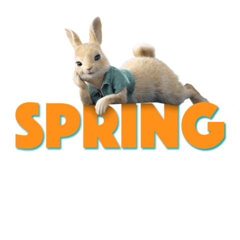 Cute Spring Mood Peter Rabbit GIF