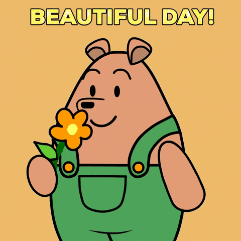 Cute Spring Pants Bear Beautiful Day GIF