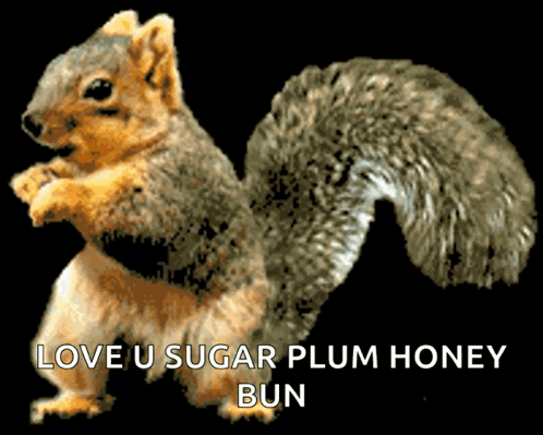 Cute Squirrel Funny I Love You GIF
