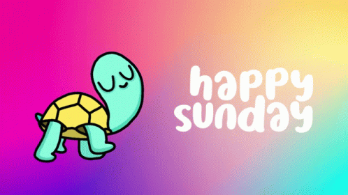 Cute Sunday Tortoise Walking GIF