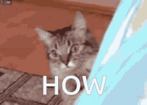 Cute Tabby Cat Sneaking How Meme GIF
