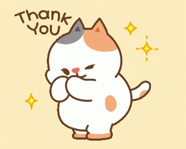 thank you cute cat