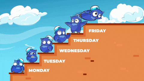 Cute Tuesday Bird Ladder GIF