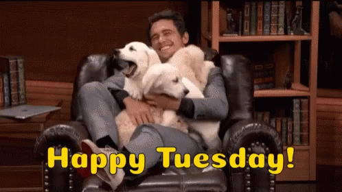 Cute Tuesday Dog Licking Man Face GIF