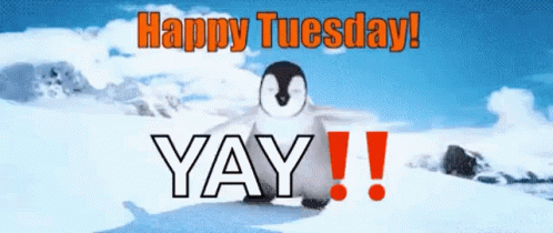 Cute Tuesday Penguin Flap GIF
