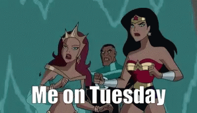 Cute Tuesday Wonder Woman Fight GIF