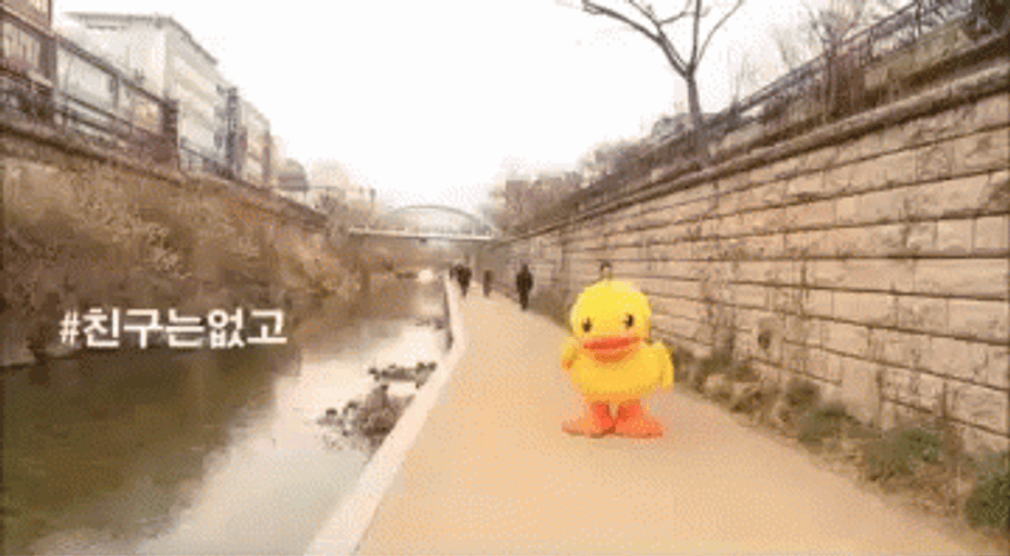 Cute Walking Duck Costume South Korea GIF