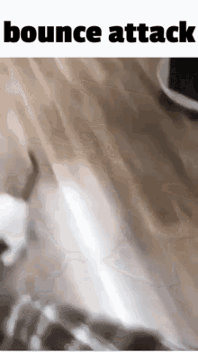 Cute White Cat Bounce Attack GIF