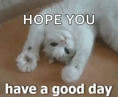Cute White Cat Hope You're Having A Good Day GIF