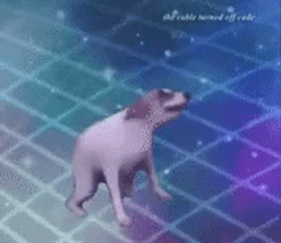 Cute White Little Dog Funny Dancing GIF