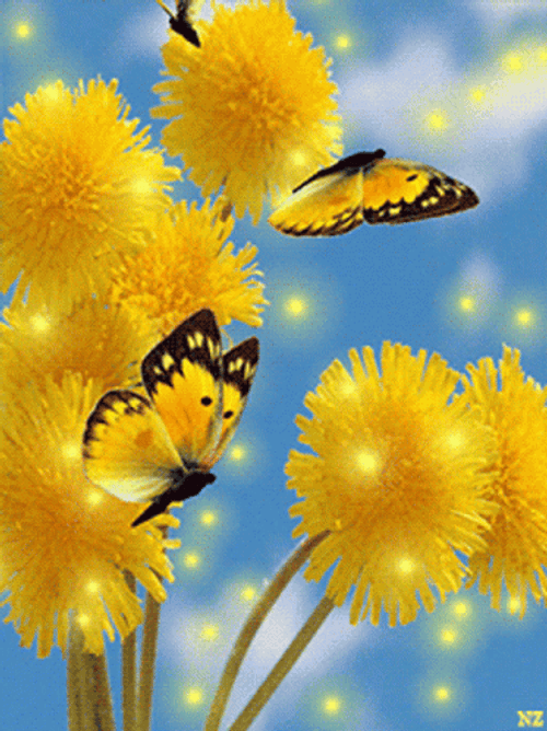 Cute Yellow Butterflies And Flowers GIF