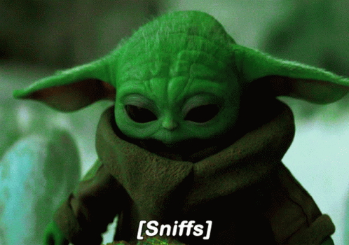 Cute Yoda Sniffs GIF