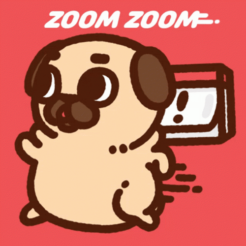 Cute Zoom Zoom Pug GIF